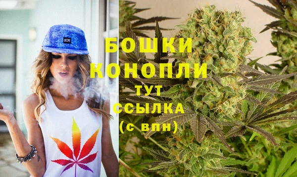 скорость Бородино